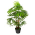 Artificial Lady Palm Tree